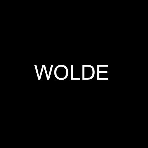 wolde — Singles